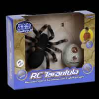 RC Tarantula